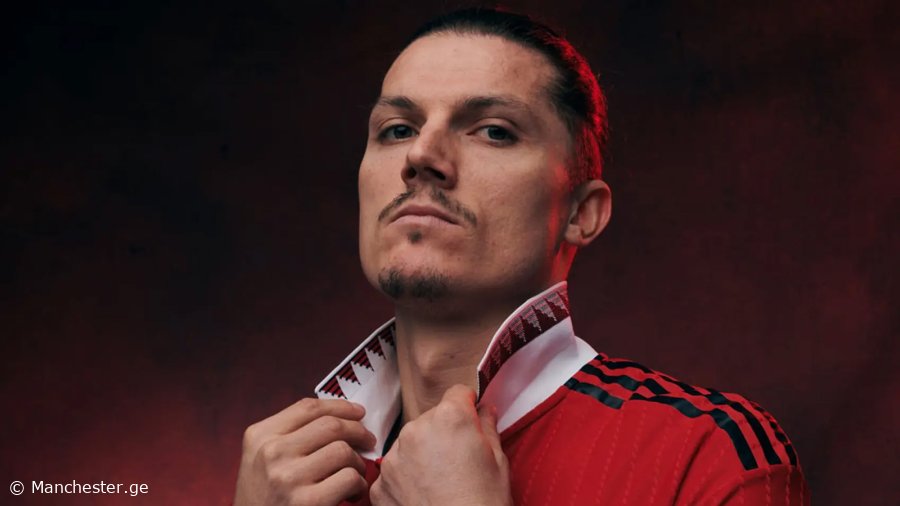 ზაბიცერის სათამაშო ნომერი გარკვეულია - რაზე შეაჩერა არჩევანი ავსტრიელმა